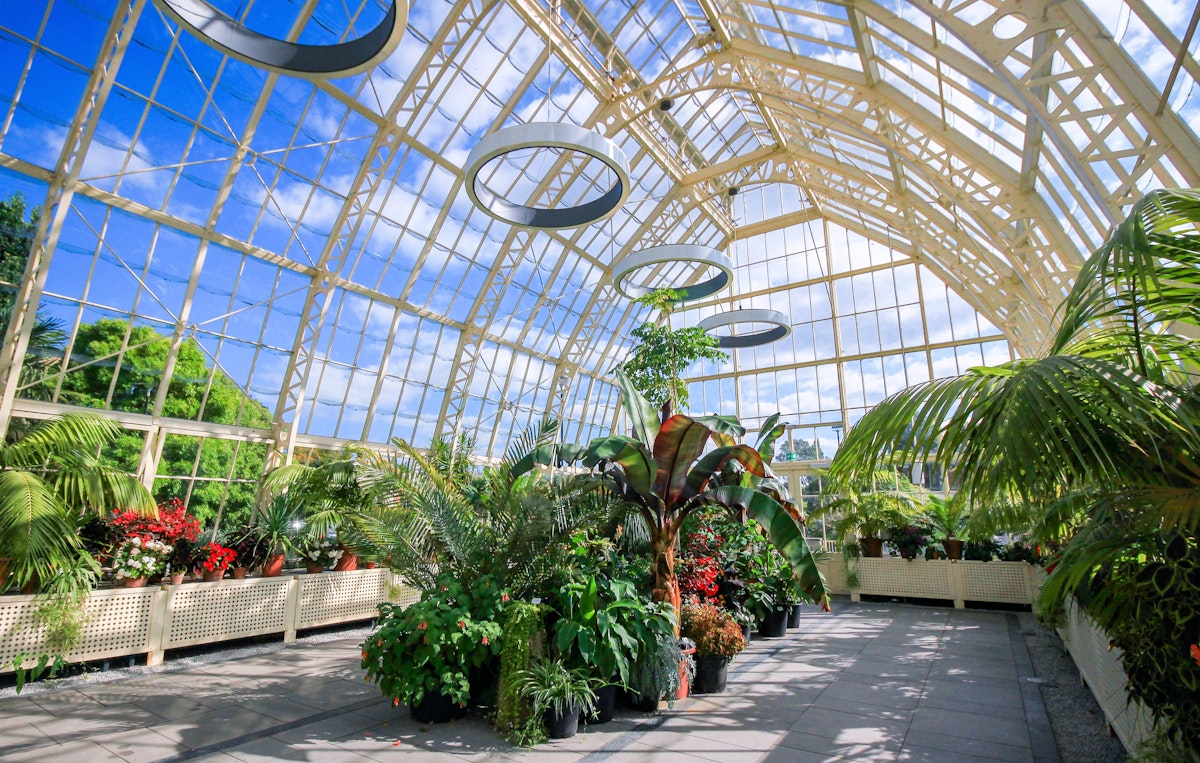 DUBLIN, IRELAND - AUGUST 4, 2018: Wide Angle View of the interior of a glasshouse of The National Botanic Gardens in Dublin, Ireland in a sunny day with blue sky.